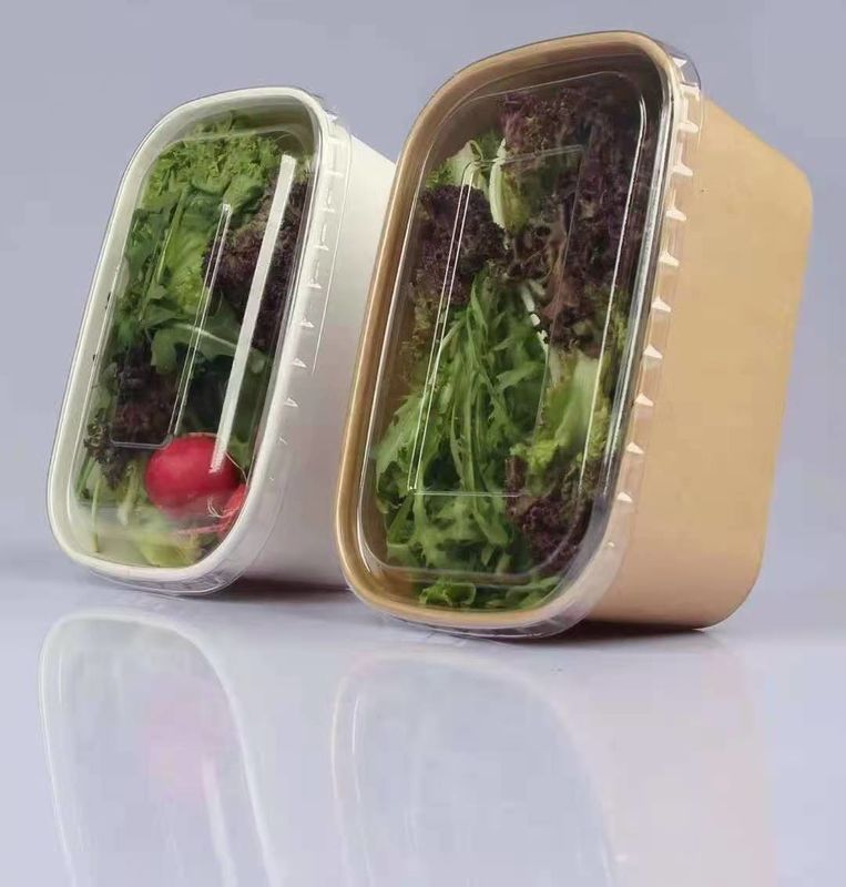 Square SGS Paper Take Away Box ย่อยสลายได้ทางชีวภาพ